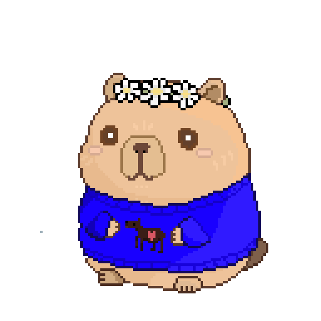 Sweater Bara