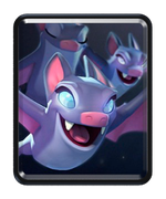 Bats